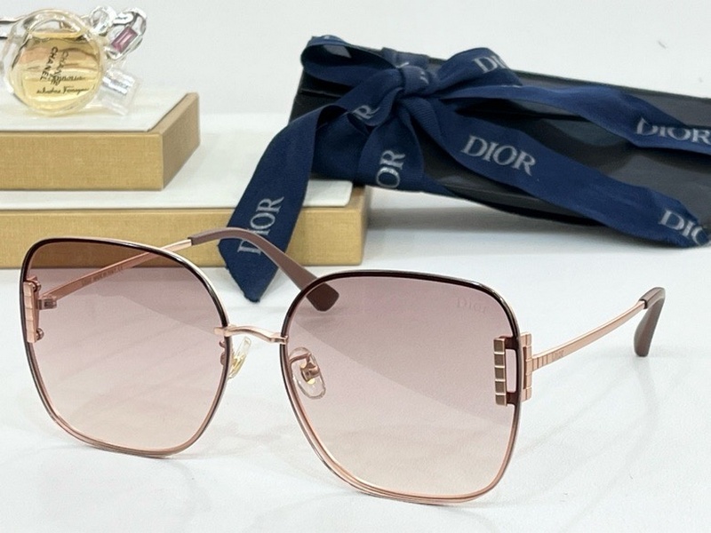 DIOR Sunglasses 102